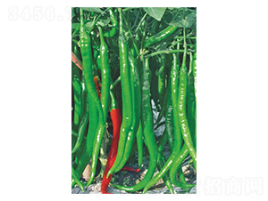 �ֱ110-�����N��-�����N�I(y��)