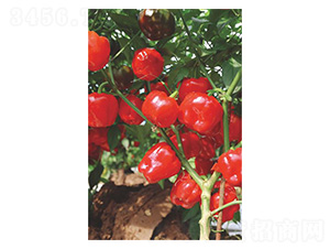 �A��78-���\���N��-�����N�I(y��)