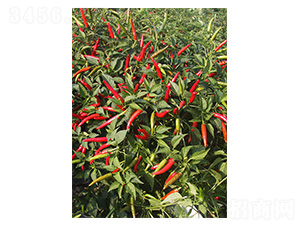 ӡ��18-���콷�N��-�����N�I(y��)