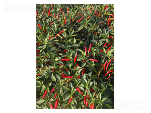 ӡ��17-���콷�N��-�����N�I(y��)