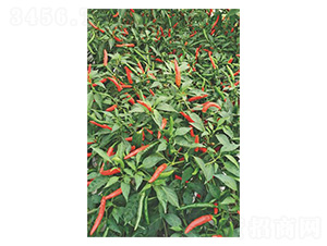 ����134-���콷�N��-�����N�I(y��)