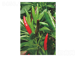 ����152-���콷�N��-�����N�I(y��)