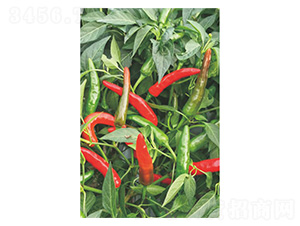 ����221-���콷�N��-�����N�I(y��)