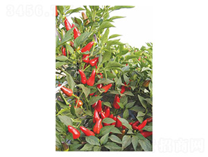 ����187-���콷�N��-�����N�I(y��)