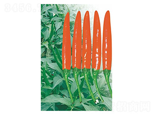 ��������-���콷�N��-�����N�I(y��)