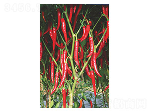 ���ؽ�2̖-���ؽ��N��-�����N�I(y��)