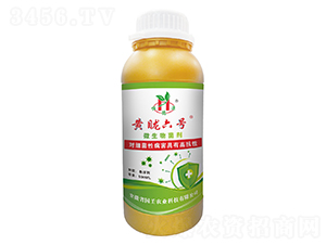 ΢�������-�S����̖-��������