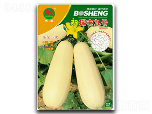 �����S��̖-�����J�N��-��ʢ�N�I(y��)