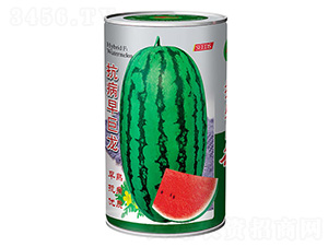 ���������-���ϷN��-��ʢ�N�I(y��)