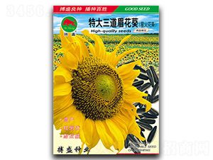 �ش�����ü����-�����N��-��ʢ�N�I(y��)