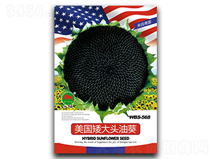 ����(gu��)�����^�Ϳ�-�����N��-��ʢ�N�I(y��)