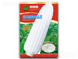 ���Ŵ668-���׷N��-��ʢ�N�I(y��)