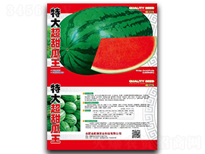 �ش������-���ϷN��-���P��