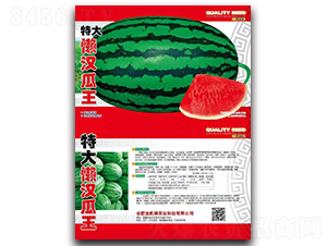 �ش�Нh����-���ϷN��-���P��