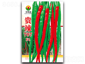 �F��707F1-�����N��-���P��