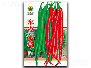 �|���sҫF1-�����N��-���P��