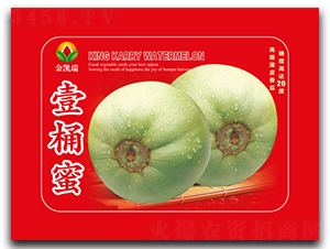 ҼͰ��-��ϷN��-���P��