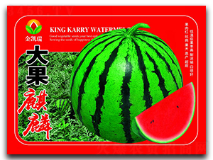 �������-���ϷN��-���P��