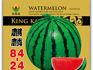 ����84.24-���ϷN��-���P��