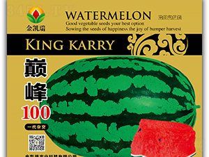 �p��100-���ϷN��-���P��