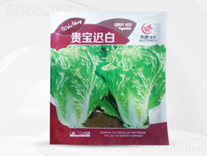 �F���t��-�ײ˷N��-��㑷N�I(y��)