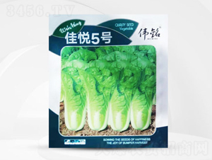 �ѐ���̖-�ײ˷N��-��㑷N�I(y��)