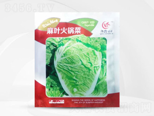 ���~��偲�-�ײ˷N��-��㑷N�I(y��)