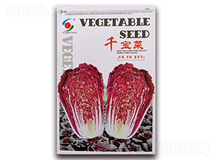 ǧ����-�ײ˷N��-�����o