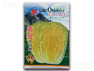 �S���ײ�-�ײ˷N��-�����o