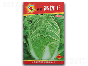 �߿���-�ײ˷N��-�����o