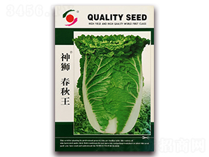 ��{������-�ײ˷N��-�����o