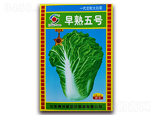 ������̖-�ײ˷N��-�����o