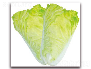 ����30-�ײ˷N��-�����o