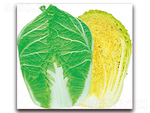 ��{�ʹ�-�ײ˷N��-�����o