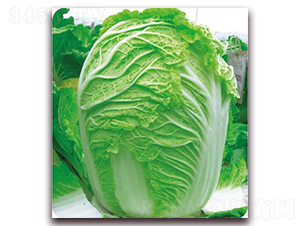 ����ϲ�r(n��ng)��-�ײ˷N��-�����o(j��)