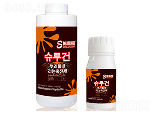 ʩ¶��-���Վ�����