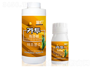 �{��������-���Վ�����