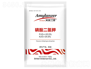 ��������-�����m��-���Վ�����