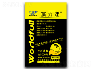 ���@����-������-�����S