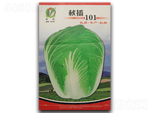 �ﲥ101-�ײ˷N��-�܃�(y��u)�N�I(y��)