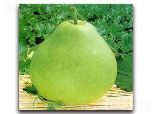 ��ľ��-���J�N��-�r(n��ng)����