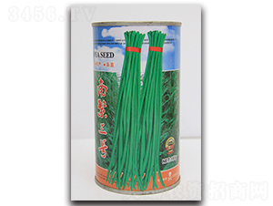 �Ϸ���̖-�����N��-�܃�(y��u)�N�I(y��)