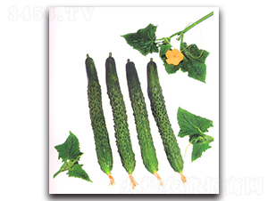 �L�����~�S��-�S�ϷN��-�r(n��ng)����