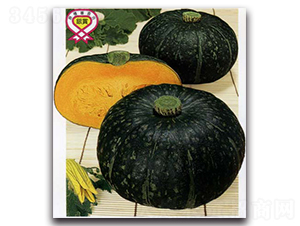 ����-�ϹϷN��-�r(n��ng)����