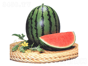 �ǎ�(k��)��-���ϷN��-�r(n��ng)����