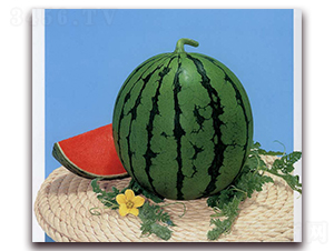 ���Ҽt-���ϷN��-�r(n��ng)����