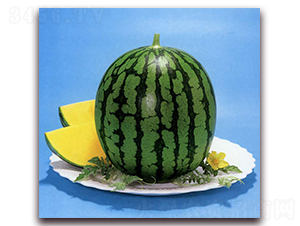 ���S-���ϷN��-�r(n��ng)����