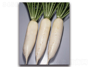 ����һ̖(h��o)-�}���N��-�r(n��ng)����