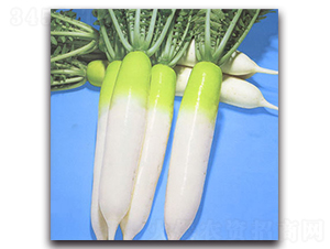 ���S�M(j��n)-�}���N��-�r(n��ng)����