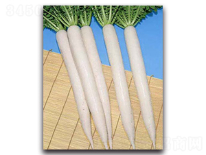 ��������-�}���N��-�r(n��ng)����